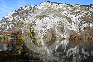 Autumn sunny morning on the Bohinj Lake with the reflection of the mountain