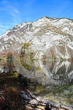 Autumn sunny morning on the Bohinj Lake with the reflection of the mountain