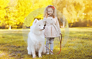 Autunno soleggiato un il cane 