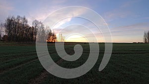 Autumn sunrise above wheat field, time lapse