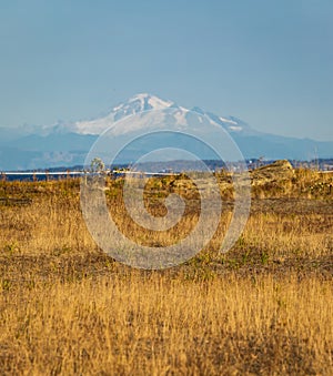 Autumn sunrise in countryside with golden foliage on the meadow in weathered grass, Mountain Baker at the distance