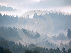 Autumn sunrise. Deep forest in a beautiful hilly landscape within inversion weather.