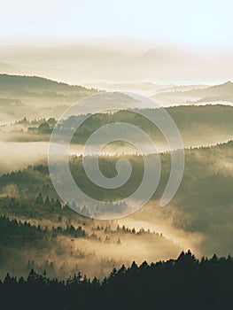 Autumn sunrise. Deep forest in a beautiful hilly landscape within inversion weather.