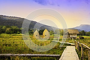 Autumn sunrise in mountainous rural area. Bamboo Walkway and cottage in golden foliage on the meadow in weathered grass