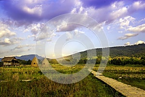 Autumn sunrise in mountainous rural area. Bamboo Walkway and cottage in golden foliage on the meadow in weathered grass. blue sky