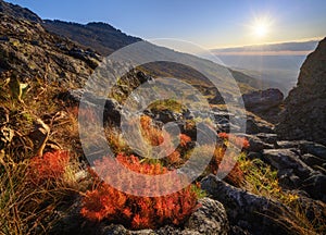 Autumn sunrise in the mountains. Colorful shot with beautiful foreground of nortern nature