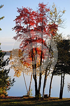 Autumn Sunrise on Sugar Lake