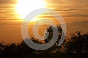 Autumn sunset with bare trees