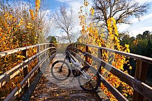 Autumn sunset bike on bridge Parque de Turia photo