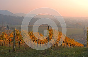 Autumn sunset of the hills of the vineyards of the Moscato wine