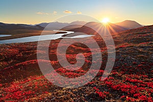 Autumn sunset in the tundra in the Arctic photo