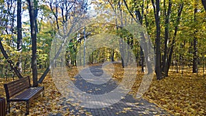 Autumn in Suvorov Park of the city of Moscow