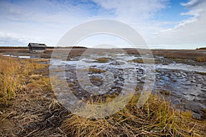 The autumn swamp near Dagi hot spring in the north Sakhalin island, Russia