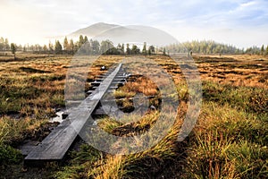 Autumn in Sweden photo