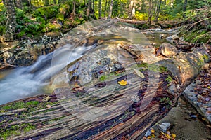 Autumn on the swift river