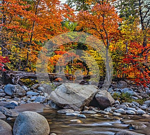 Autumn on the swift river