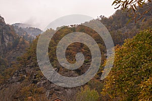 Autumn in the swiss alps