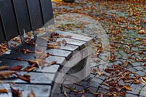 Autumn symbol picture with dry autumn leaves around a park bench