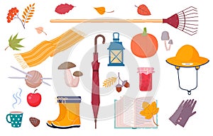 Autumn symbols and elements in vector illustration.