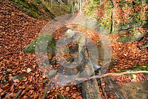 Autumn in Tajovska dolina gorge near Tajov village