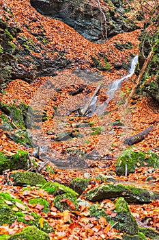 Autumn in Tajovska dolina gorge near Tajov village during autumn