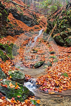 Autumn in Tajovska dolina gorge near Tajov village during autumn