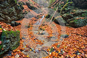 Autumn in Tajovska dolina gorge near Tajov village during autumn