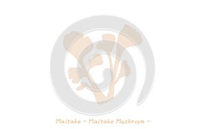 Autumn taste, simple illustration of mushrooms Maitake.