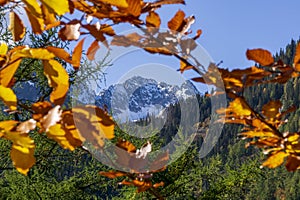 Autumn in the Tatra Mountains in Slovakia