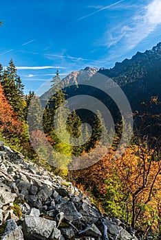 Autumn in Tatra mountains in Slovakia