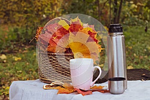 Autumn tea party. cup with tea and maple leaves. Maple leaves in a basket