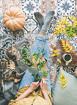 Autumn tea time with female and cat on tiled floor