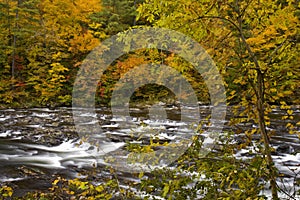 Autumn, Tellico River, Cherokee NF