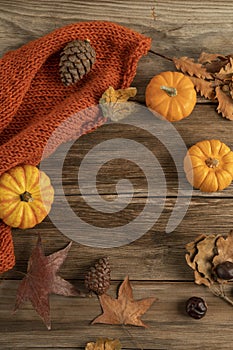 Autumn template with pumpkins and dried leaves on wooden background