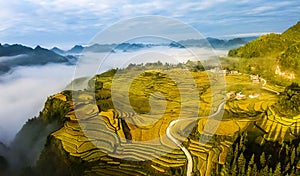 The autumn terraces in the mountainous areas of Guizhou province