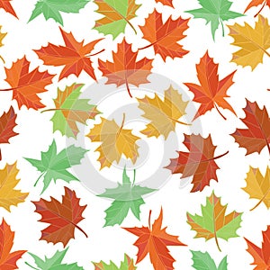 Autumn textile vector. Maple leaf seamless pattern. Foliage background. Green, yellow, orange and red.