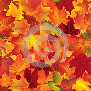 Autumn texture. Fall pattern. Wallpaper with maple leaves.