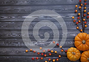 Autumn Thanksgiving Background