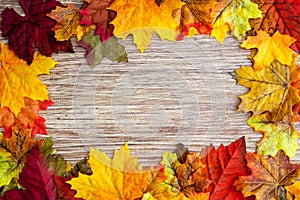 Autumn Thanksgiving Background