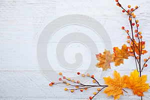 Autumn Thanksgiving Background