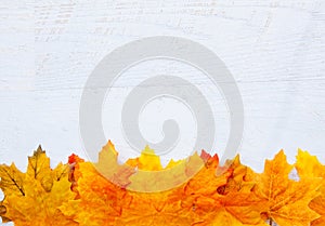 Autumn Thanksgiving Background