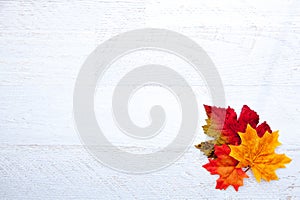 Autumn Thanksgiving Background