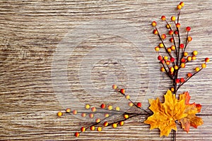 Autumn Thanksgiving Background