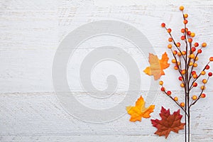 Autumn Thanksgiving Background