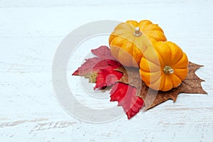 Autumn Thanksgiving Background