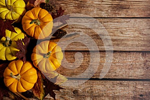 Autumn thanksgiving background with fancy pumpkins