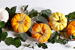 Autumn thanksgiving background with fancy pumpkins and green leaves