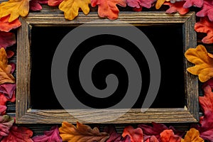 Autumn Thanksgiving background and frame with leaves and small pumpkins surrounding the frame