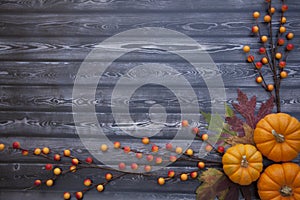 Autumn Thanksgiving Background photo