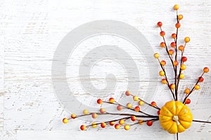 Autumn Thanksgiving Background photo